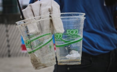 Greenwashing: Nachhaltig oder scheinheilig?
